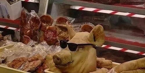 猪头娱乐圈吃瓜,揭秘明星们的“吃瓜”生活  第2张