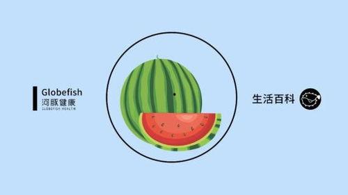 适合娱乐吃瓜的bgm  第3张